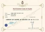 Diploma RONTU Campeón de España