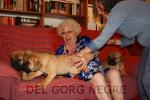 Cachorros de Hans y Neula con Lola