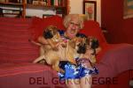Cachorros de Hans y Neula con Lola